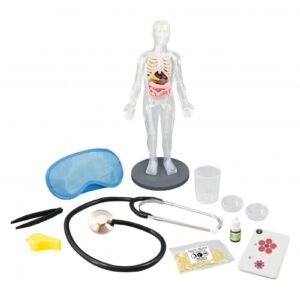 ΑΝΘΡΩΠΙΝΟ ΣΩΜΑ 12 ΠΕΙΡΑΜΑΤΑ BUKI BUK-2163