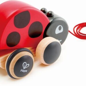 Hape Push & Pull Ξύλινη Συρόμενη Πασχαλίτσα HP-E0362A