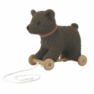 Egmont toys Raoul Pull-Along 26X15X26cm EGM-591031