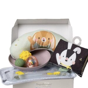 TAF TOYS -  TUMMY TIME ESSENTIALS KIT T-13435