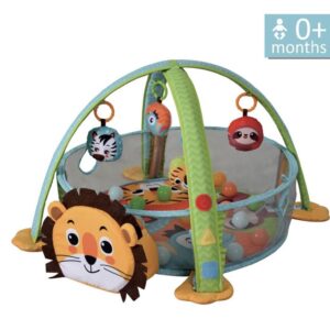 Γυμναστήριο – Πάρκο δραστηριοτήτων Lion 100 100-177