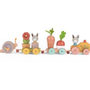 Moulin Roty Ξύλινο Τρενο με σχήματα Εκπαιδευτικο MR678112